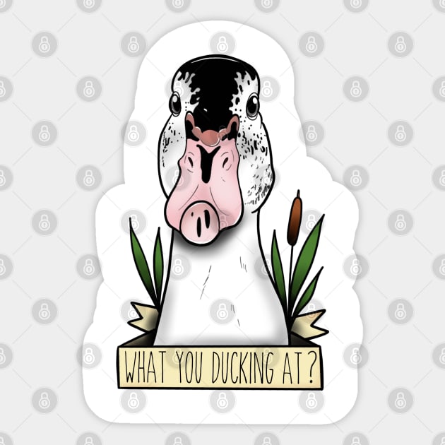 What you ducking at? Sticker by Jurassic Ink